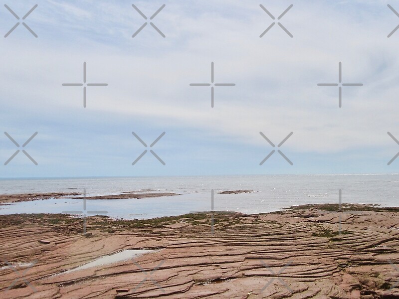 "Low Tide at Point Prim, PEI, Canada" by Shulie1 Redbubble