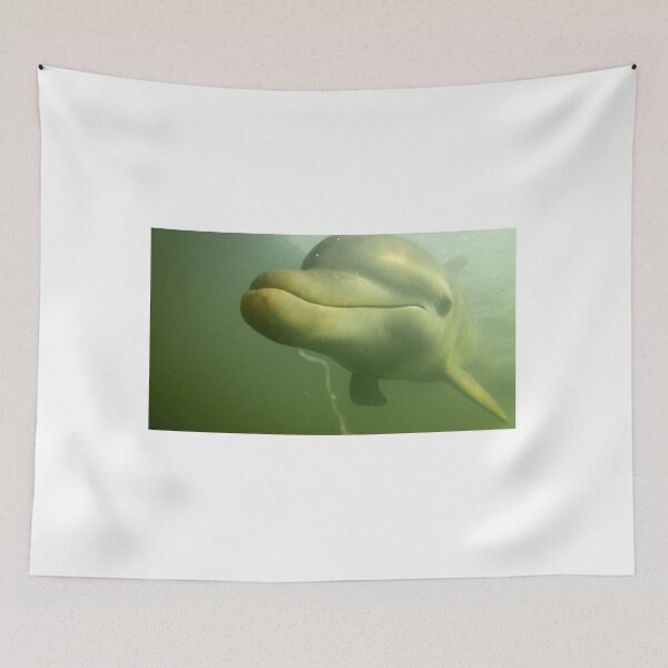Item preview, Calf Curiosity  designed and sold by lindsey partridge.