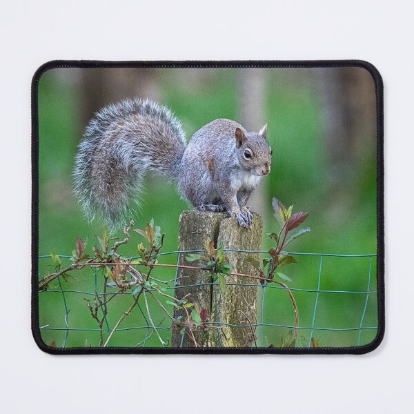 Item preview, Post Watcher designed and sold by WrightDesignsUS.
