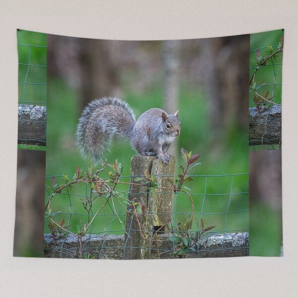 Item preview, Post Watcher designed and sold by WrightDesignsUS.