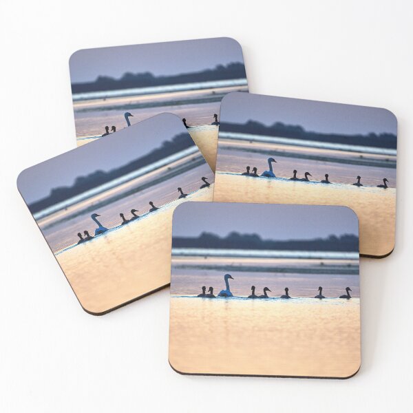 Item preview, Mute swan family before sunrise designed and sold by Andreas Koerner.