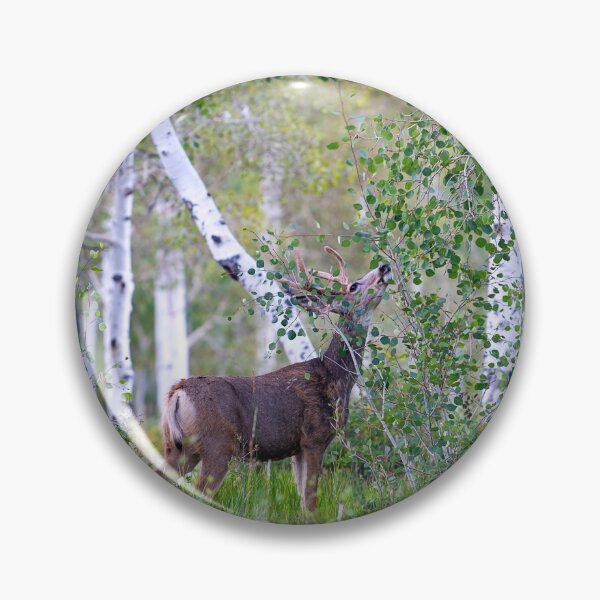 Item preview, Among the Birch designed and sold by WrightDesignsUS.