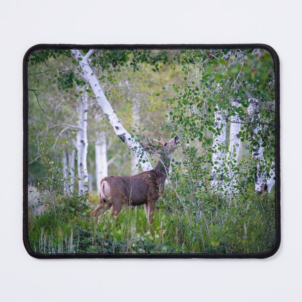 Item preview, Among the Birch designed and sold by WrightDesignsUS.