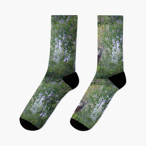 Item preview, Among the Birch designed and sold by WrightDesignsUS.