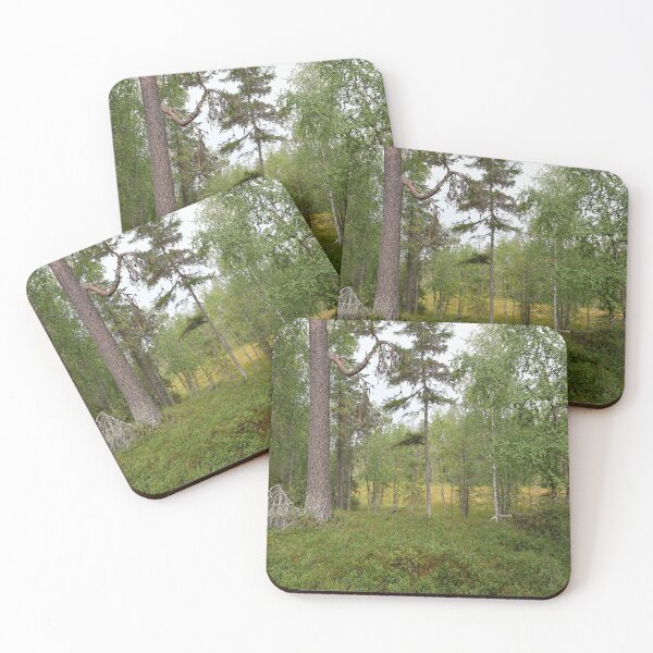 Item preview, The pine and the morass. Kuusamo, Pieni karhunkierros 2025 designed and sold by Jouko Lehto Photography.