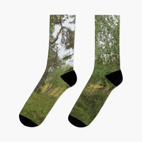Item preview, The pine and the morass. Kuusamo, Pieni karhunkierros 2025 designed and sold by Jouko Lehto Photography.