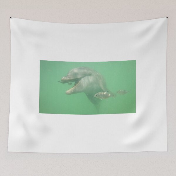 Item preview, Big Boy designed and sold by lindsey partridge.