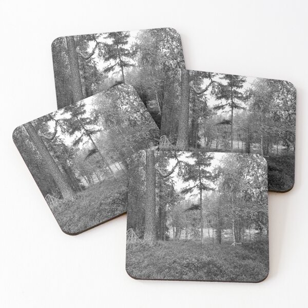 Item preview, The pine and the morass. Kuusamo, Pieni karhunkierros 2025 bw designed and sold by Jouko Lehto Photography.