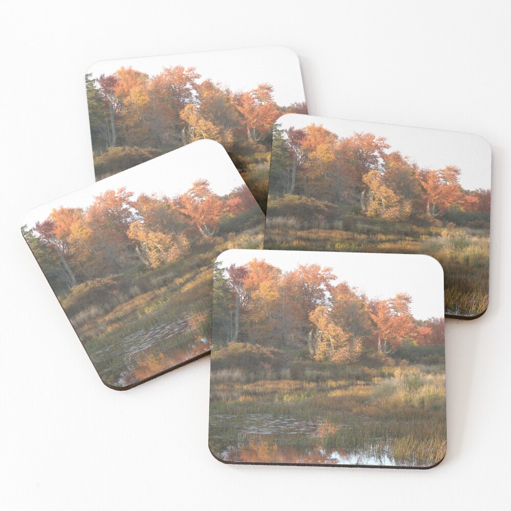 Item preview, Coasters (Set of 4) designed and sold by Riddick4x5.