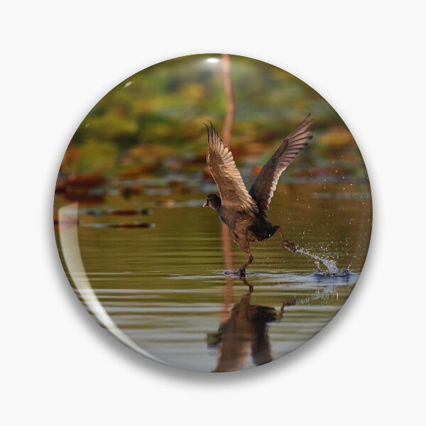 Item preview, Take Off Moor Duck (Aythanyroca) designed and sold by Andreas Koerner.
