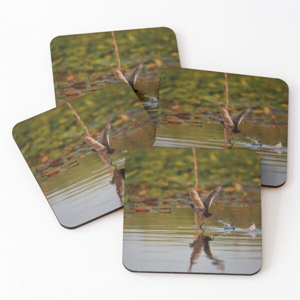 Item preview, Take Off Moor Duck (Aythanyroca) designed and sold by Andreas Koerner.