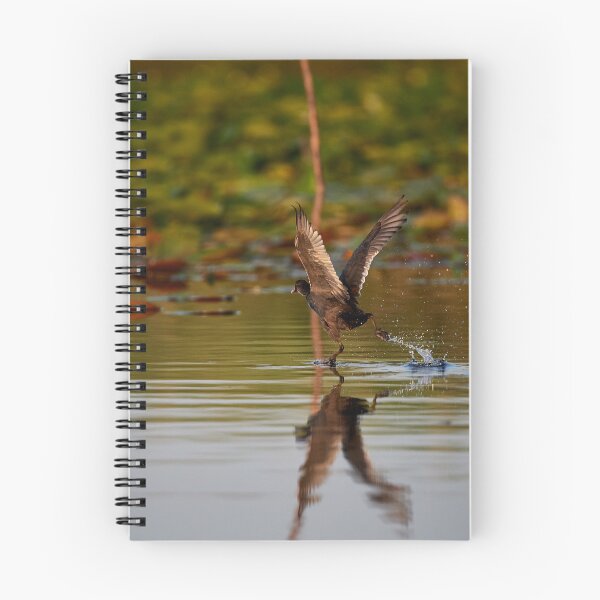 Item preview, Take Off Moor Duck (Aythanyroca) designed and sold by Andreas Koerner.