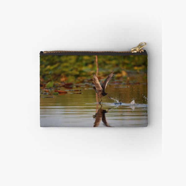 Item preview, Pato moro despegado (Aythanyroca) designed and sold by Andreas Koerner.