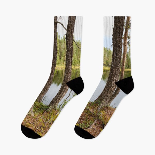Item preview, The Pond by the path. Kuusamo, Pieni karhunkierros 2025 designed and sold by Jouko Lehto Photography.
