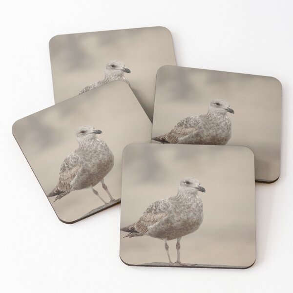 Item preview, Brown Gull designed and sold by Mike Cicero.
