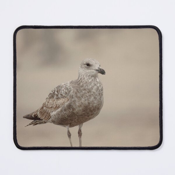 Item preview, Brown Gull designed and sold by Mike Cicero.
