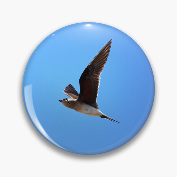 Item preview, Red-winged Practitioner (Glareola praticola) designed and sold by Andreas Koerner.