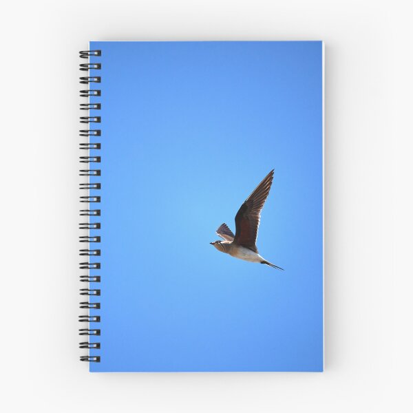Item preview, Red-winged Practitioner (Glareola praticola) designed and sold by Andreas Koerner.