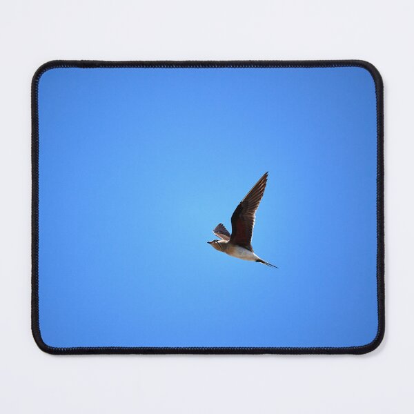 Item preview, Red-winged Practitioner (Glareola praticola) designed and sold by Andreas Koerner.