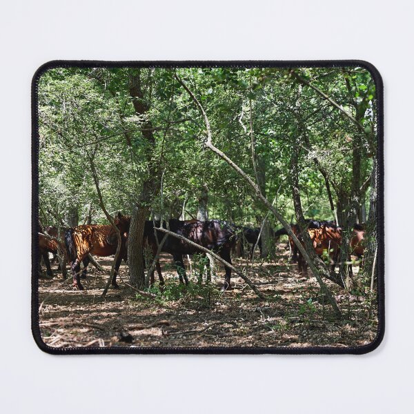 Item preview, Wild horses in Letea Forest designed and sold by Andreas Koerner.