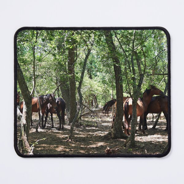 Item preview, Wild horses in Letea Forest designed and sold by Andreas Koerner.