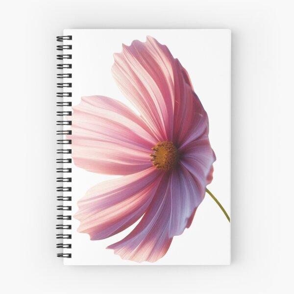 Item preview, Single Cosmos Bloom. Pink Cosmos on White designed and sold by ZyVoAli.