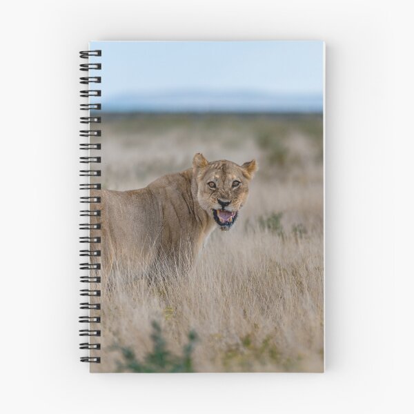Item preview, Lioness of Etosha — “Back Off.” (Gemsbokvlakte, Namibia) designed and sold by DavideAntoniani.