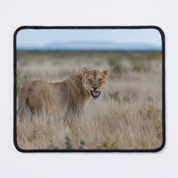 Item preview, Lioness of Etosha — “Back Off.” (Gemsbokvlakte, Namibia) designed and sold by DavideAntoniani.