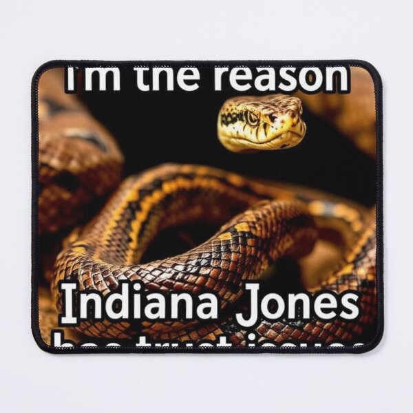 Item preview, I’m the reason Indiana Jones has trust issues designed and sold by SSMC DREAM DESIGN.