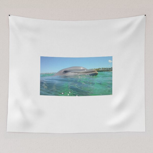 Item preview, Gaze designed and sold by lindsey partridge.