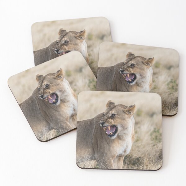 Item preview, Do Not Come Closer — The Lioness’ Second Warning (Etosha, Namibia) designed and sold by DavideAntoniani.