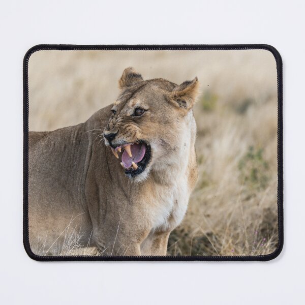 Item preview, Do Not Come Closer — The Lioness’ Second Warning (Etosha, Namibia) designed and sold by DavideAntoniani.
