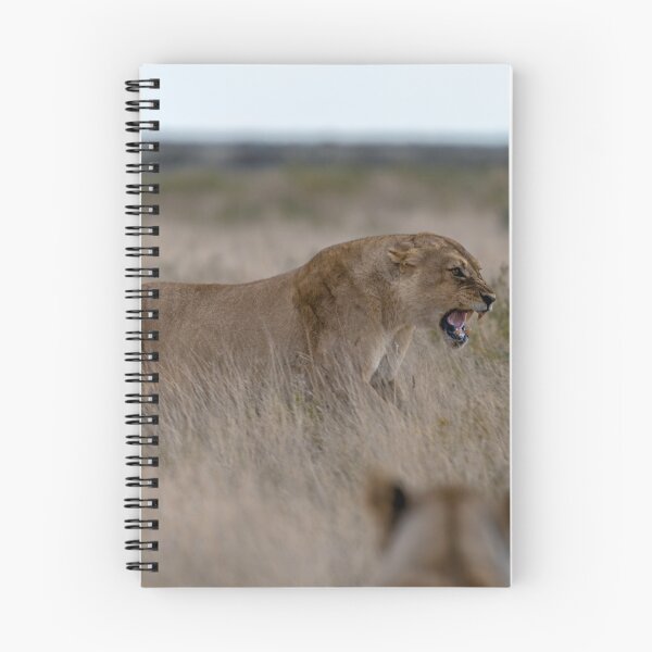 Item preview, Her Line in the Grass — Lioness Warning the Subadults, Etosha National Park designed and sold by DavideAntoniani.