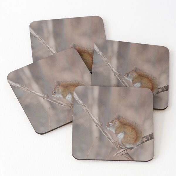 Item preview, Little red squirrel on a branch designed and sold by Production Art Manon Meilleur.
