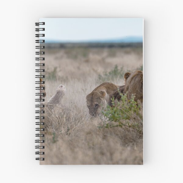 Item preview, Don't Touch My Cubs — The Brawl at Gemsbokvlakte designed and sold by DavideAntoniani.