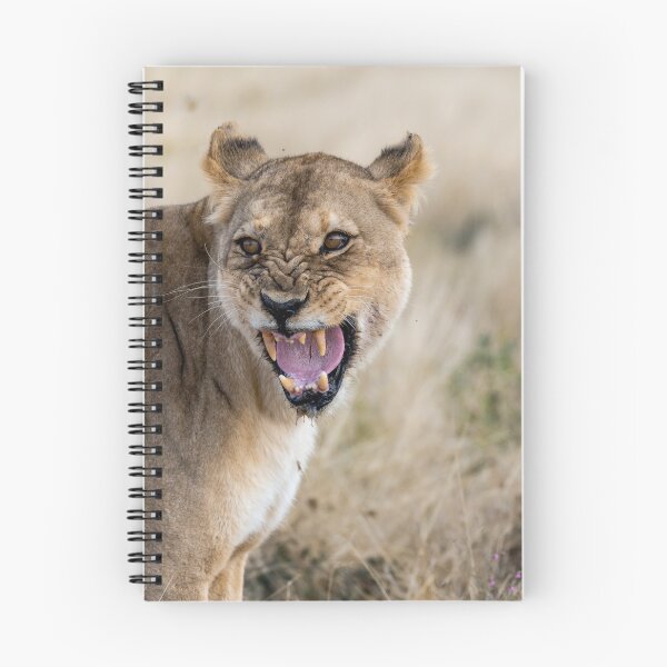 Item preview, Stand Down — Lioness Defending Her Cubs (Etosha, Namibia) designed and sold by DavideAntoniani.