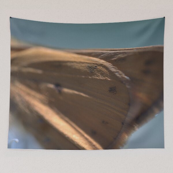 Item preview, Closeup of Butterfly Wings! designed and sold by Petalgrain.