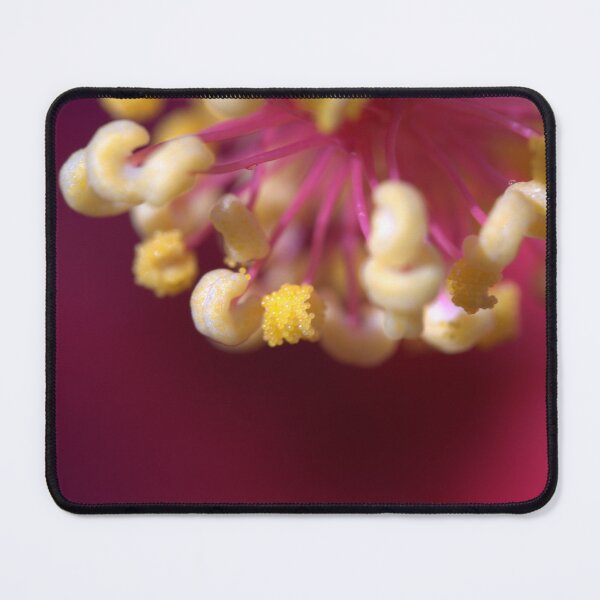 Item preview, Hibiscus Flower Pollen Anthers Closeup (Microscope Shot) designed and sold by Petalgrain.