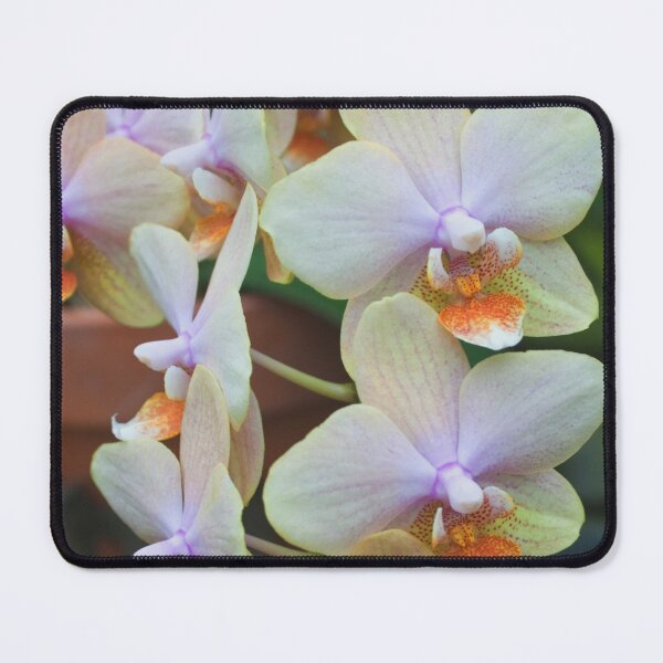 Item preview, Cluster of yellow and orange orchid flowers designed and sold by Production Art Manon Meilleur.