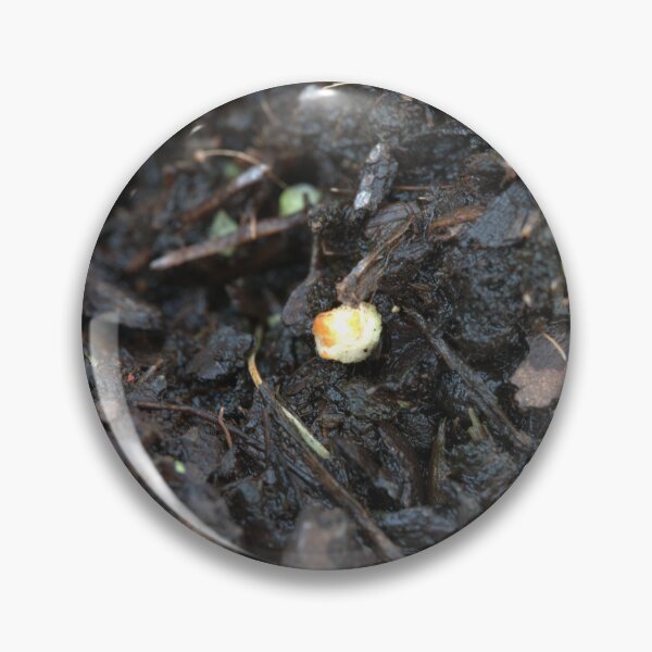 Item preview, DIRT! designed and sold by Petalgrain.
