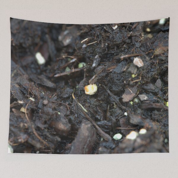 Item preview, DIRT! designed and sold by Petalgrain.
