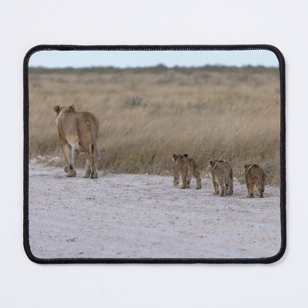 Item preview, Homeward Line — Lioness Leads Her Cubs Back  designed and sold by DavideAntoniani.