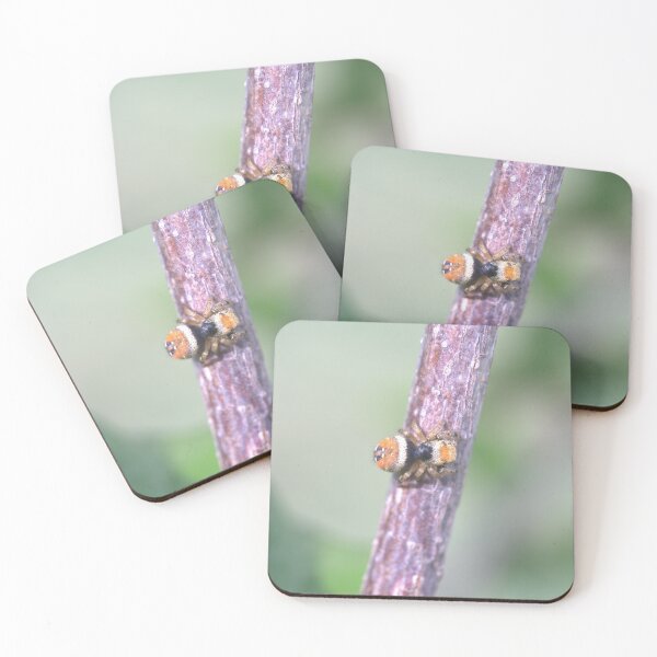 Item preview, Colorful, Little, Furry Jumping Spider on a Branch designed and sold by Petalgrain.