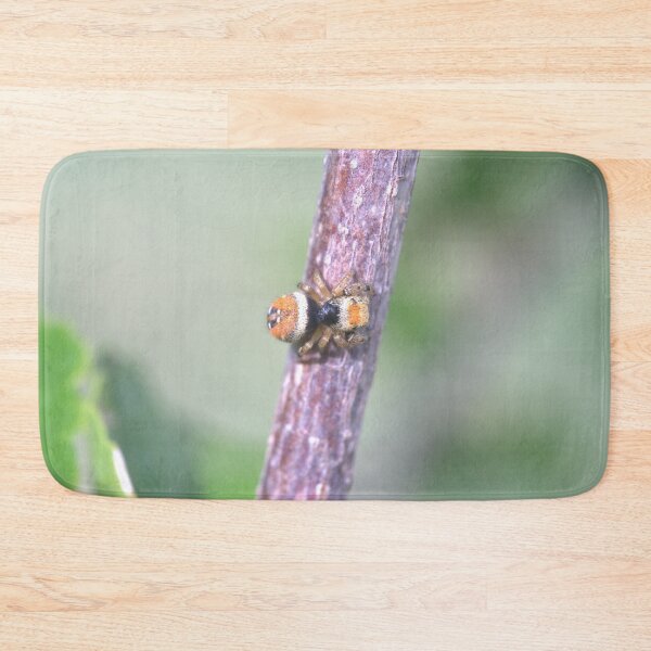 Item preview, Colorful, Little, Furry Jumping Spider on a Branch designed and sold by Petalgrain.