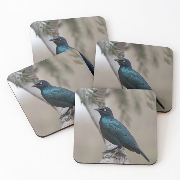 Item preview, Ember-Eyed Jewel — Cape Glossy Starling, Etosha designed and sold by DavideAntoniani.