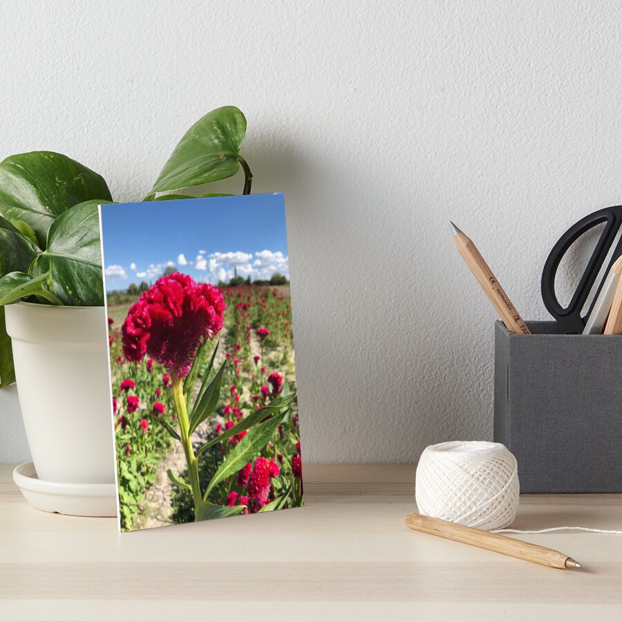 Item preview, Art Board Print designed and sold by RDLT.