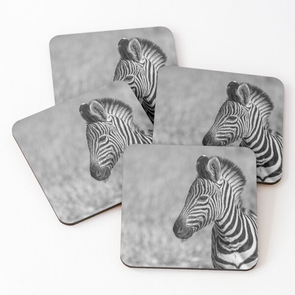 Item preview, Silver Stripes — Zebra Foal in Black & White, Etosha designed and sold by DavideAntoniani.