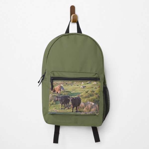 Item preview, dartmoor cattle2 designed and sold by artsmeow.