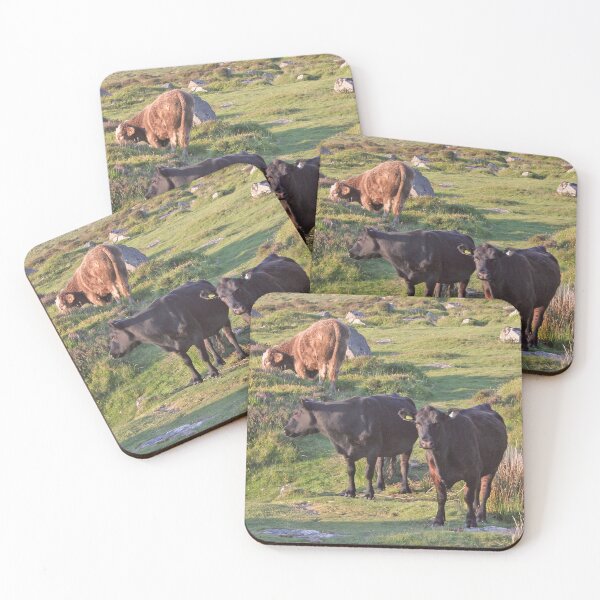 Item preview, dartmoor cattle2 designed and sold by artsmeow.