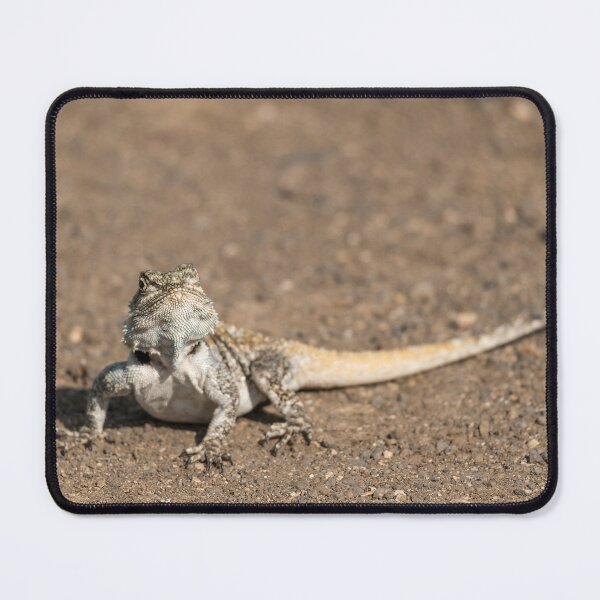 Item preview, Tiny Road Guardian — Ground Agama (Agama aculeata), Etosha National Park designed and sold by DavideAntoniani.